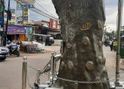 Tugu Asem Jaya Ikonik Kebanggaan Warga Mustikajaya