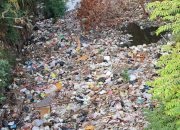 Anggota DPRD Kabupaten Bekasi Koordinasi dengan UPTD LH dan Camat TamselBersihkan Sampah di Kali Jambe