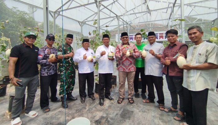 Camat Cibitung Kunjungi Kebun Melon Modern Melonesia di Sukajaya: Luar Biasa, Potensi Besar Jadi Agrowisata