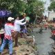 Haji Jalal Gelar Ngubek Ikan Gratis, Warga Desa Karangsari Antusias