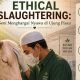 Ethical Slaughtering: Seni Menghargai Nyawa di Ujung Pisau