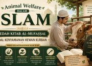 Animal Welfare dalam Islam: Bedah Kitab Al-Mufaṣṣal Soal Kenyamanan Hewan Kurban