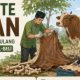 Zero Waste Qurban: Memanfaatkan Kulit dan Tulang Tanpa Melanggar Hukum Jual-Beli