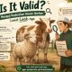 Is It Valid? Menguji Keabsahan Hewan Qurban Lewat Look-nya