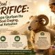 The Real Sacrifice: Mengapa Qurban Itu Bukan Soal Daging, Tapi Soal Ketaatan