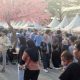 Sakura Matsuri 2026 Kembali Digelar di Cikarang, Hadirkan Perpaduan Budaya Indonesia dan Jepang